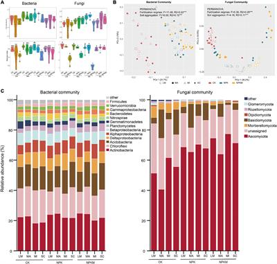 Soil Aggregation Shaped the Distribution and Interaction of Bacterial-Fungal Community Based on a 38-Year Fertilization Experiment in China